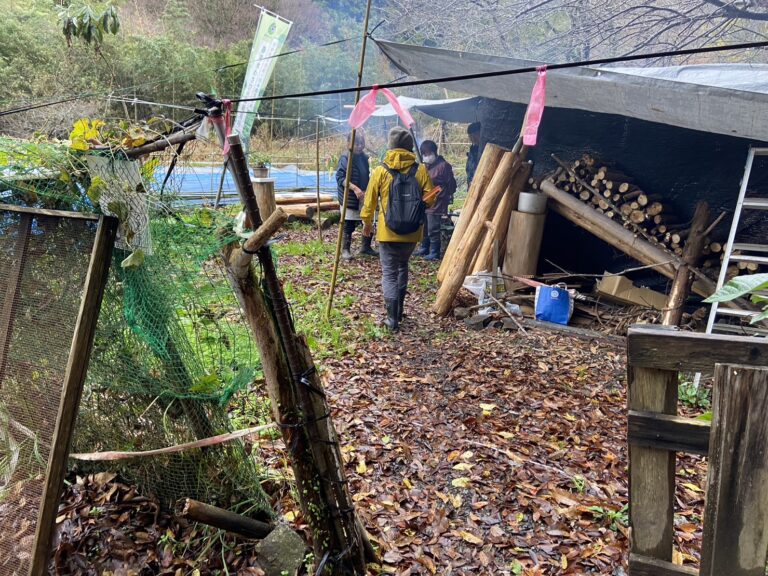 IW 1　S  5218382 768x576